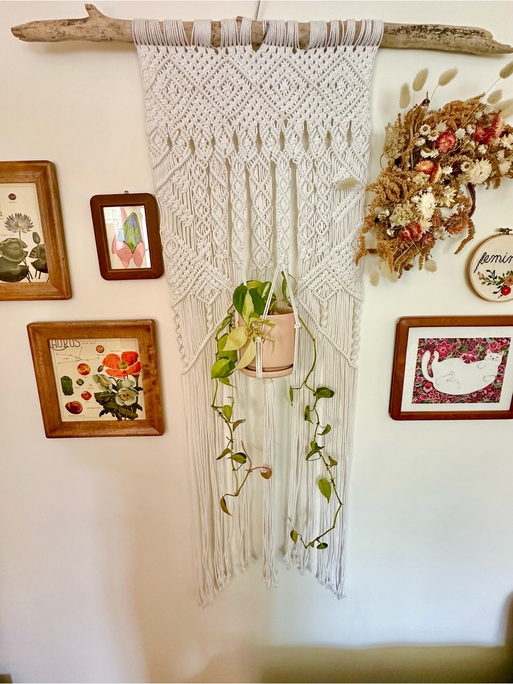Hand Crafted Cream Macramé Hanging Plant Holder - Picture 2 of 5